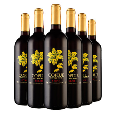 智利原酒进口 柯碧韦(Copiue)西拉干红葡萄酒 750ml*6 整箱装