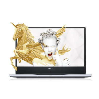 戴尔(DELL)灵越燃7000 1645 15.6英寸轻薄笔记本电脑(Intel i5 8G 1TB 4G独显)