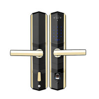 九万里 智能锁 W100S(香槟金)