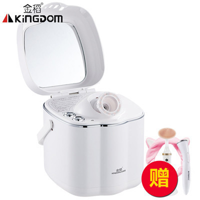 金稻(KINGDOM)美容仪 KD-2332 蒸脸器漂亮的李慧珍同款蒸脸器热喷美容仪纳米离子补水仪