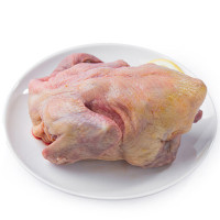 [苏鲜生]原膳生态老鸽350g