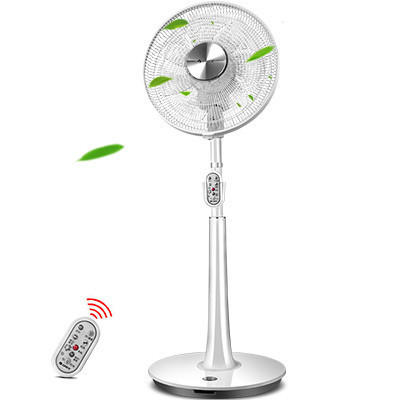 格力(GREE)电风扇FS-3005Bg7-WG七叶落地扇 台地两用可调节遥控定时平背机头涡轮点阵扇片