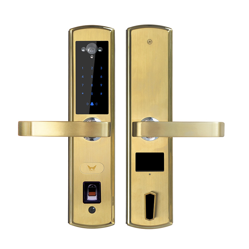 九万里 智能锁 W300S 智能侠（拉丝金）