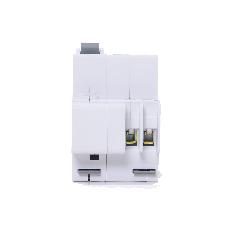 人民 低压开关 漏电保护器 10A 两相 DZ47LE-2P/10A