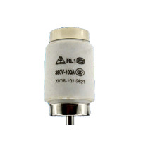 人民 低压熔断器 100A 瓷插 RL1-100A