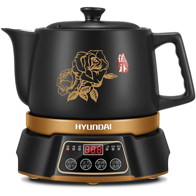现代（HYUNDAI）QC-YS1531A 煎药壶 全自动中药壶电熬药锅 养生壶 3.L