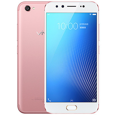 vivo X9s 野兽派永生花 套装版 4GB+64GB 玫瑰金 移动联通电信4G手机 双卡双待