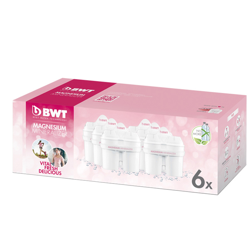 德国原装进口BWT 倍世过滤水壶 净水杯倍世滤芯 阻垢通用滤芯 过滤芯 阻垢滤芯 6只装