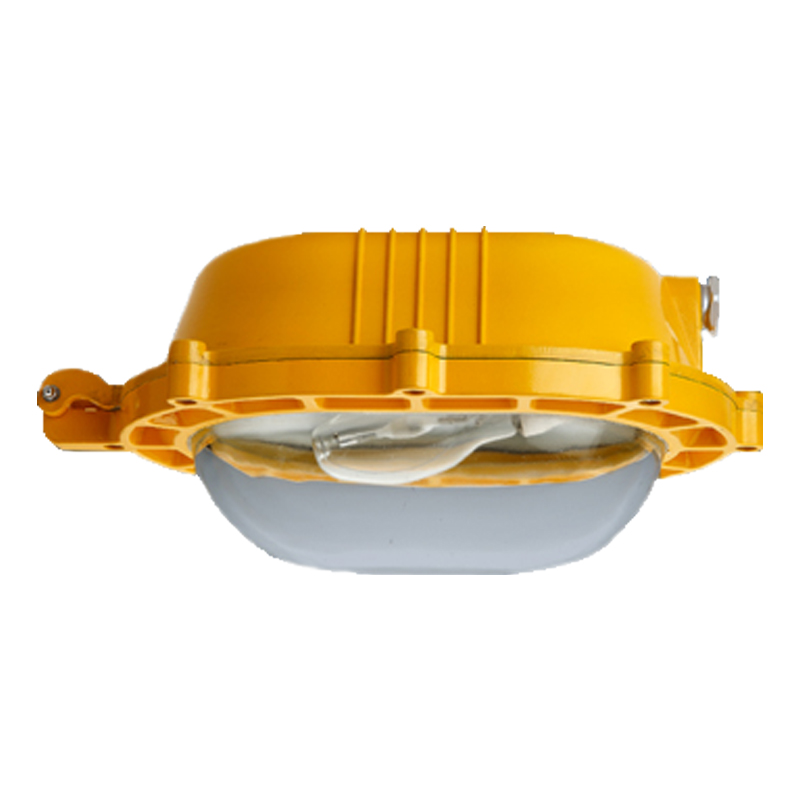 恒盛内场防爆LED节能灯BF310L 功率：20-40W选配 电压：AC/DC85-265V