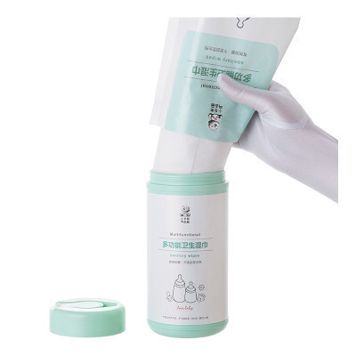小白熊(Snow Bear) 40抽多功能 卫生湿巾 替换装 婴幼儿护肤通用 09630(25(H)*12.8(W)