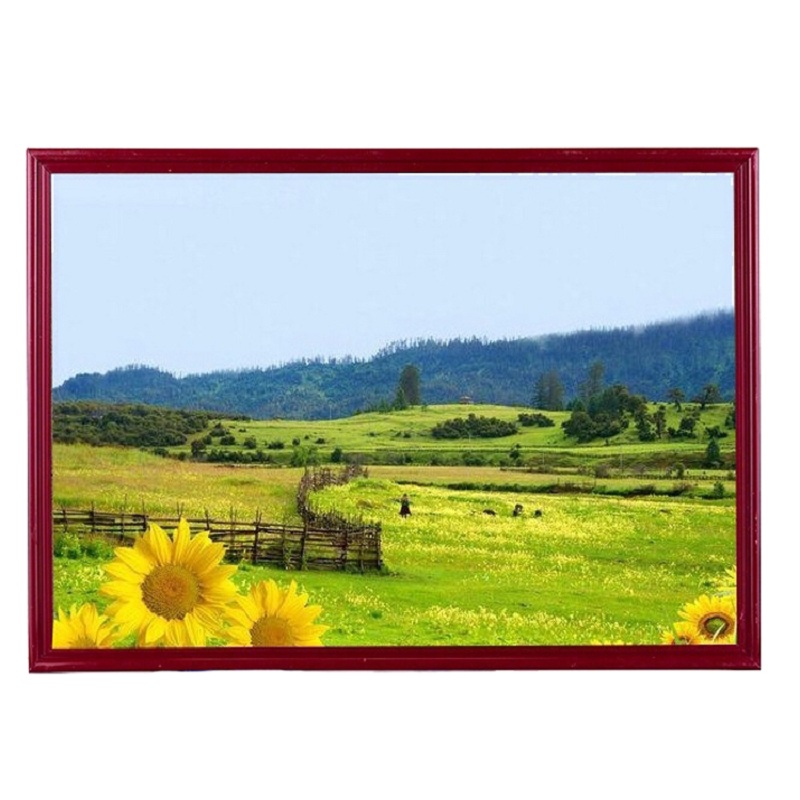 索尼(SONY) 4K 52*38cm JLS 胶片面镜框架 1104(组*6个)