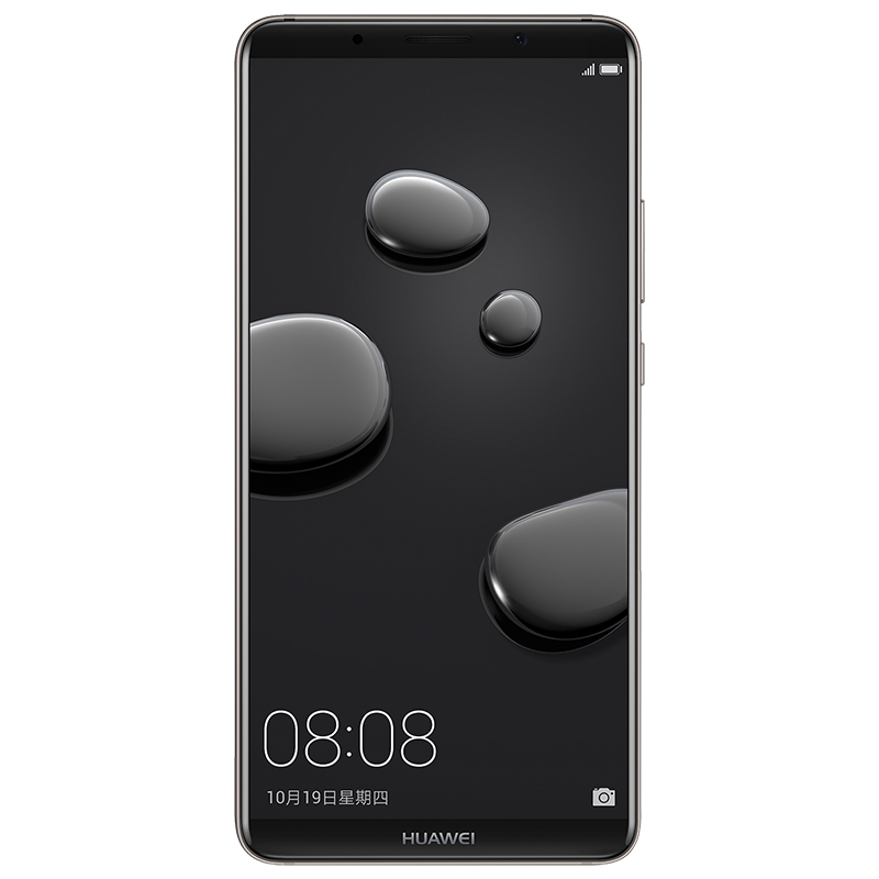 HUAWEI/华为Mate10 Pro(BLA-TL00)6GB+64GB银钻灰移动全网通手机
