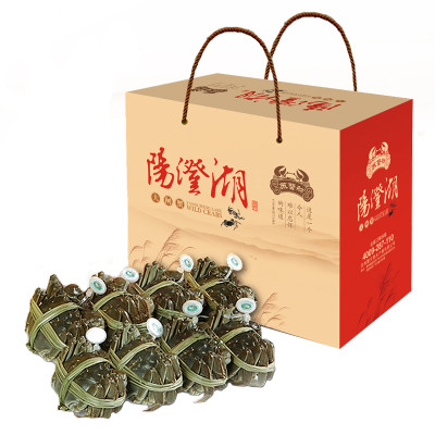 [苏蟹舫]阳澄湖大闸蟹礼盒 公蟹4.0两 母蟹2.8两 4对8只装 鲜活现货