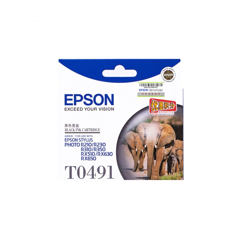 爱普生(EPSON) T0491 墨盒 黑色