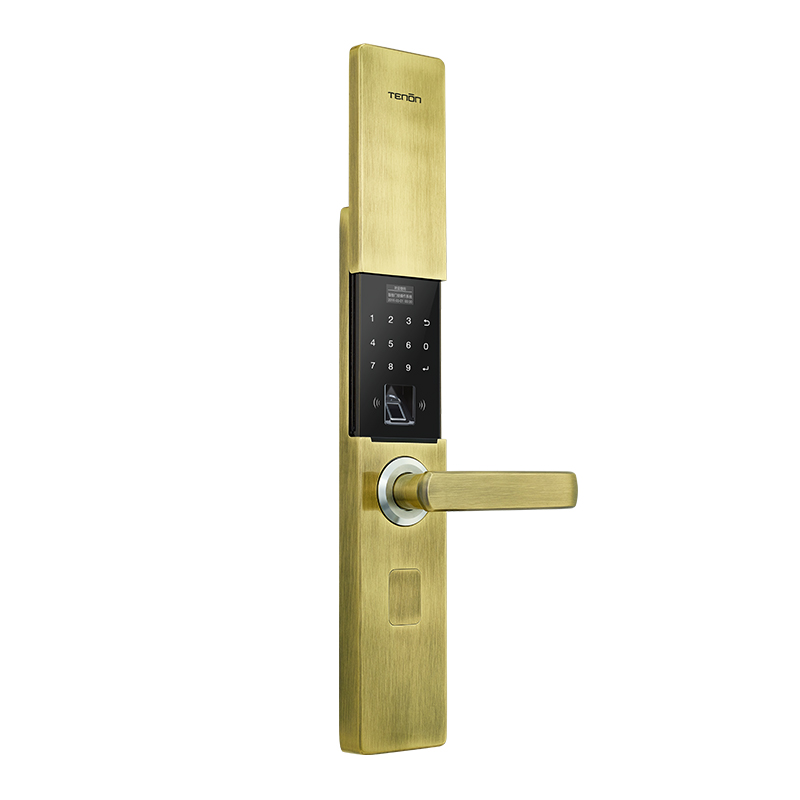 亚太天能(TENON)智能指纹锁 锌合金家用指纹密码锁电子门锁 T21e 青古铜