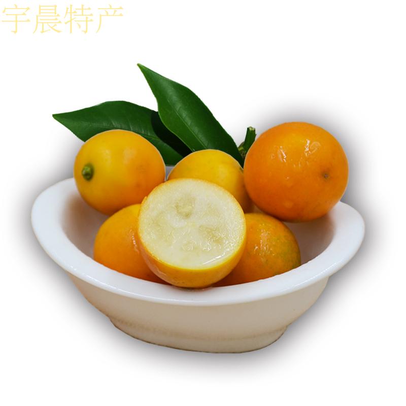 [苏宁小店]锡玉堂金桔标准件