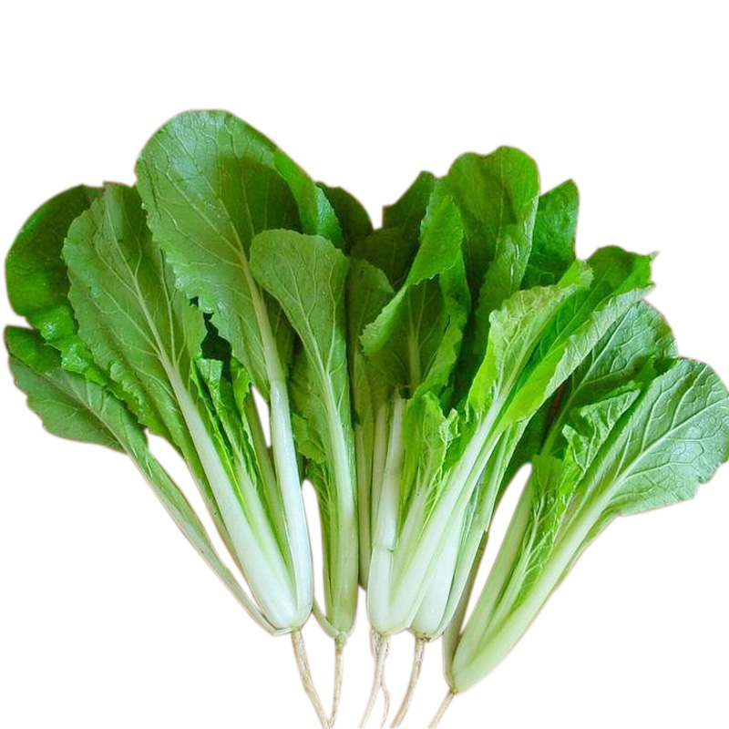 小白菜 约500g/份(傲绿)