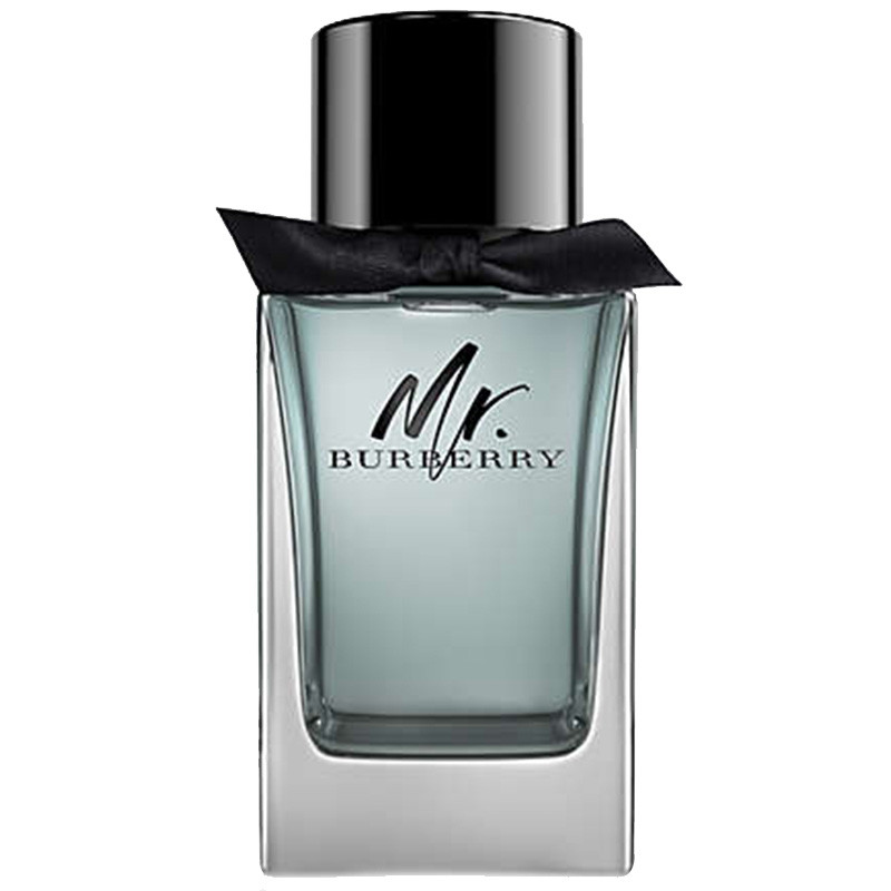 BURBERRY 巴宝莉 博柏利先生同名男士OL办公淡香水(清新花木香调) 100ml [美国直邮]