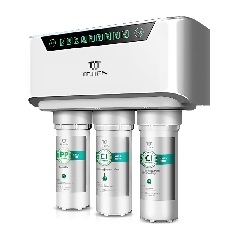 特洁恩(TEJIEN) 家用反渗透直饮双出水纯水机净水器 AF-F500