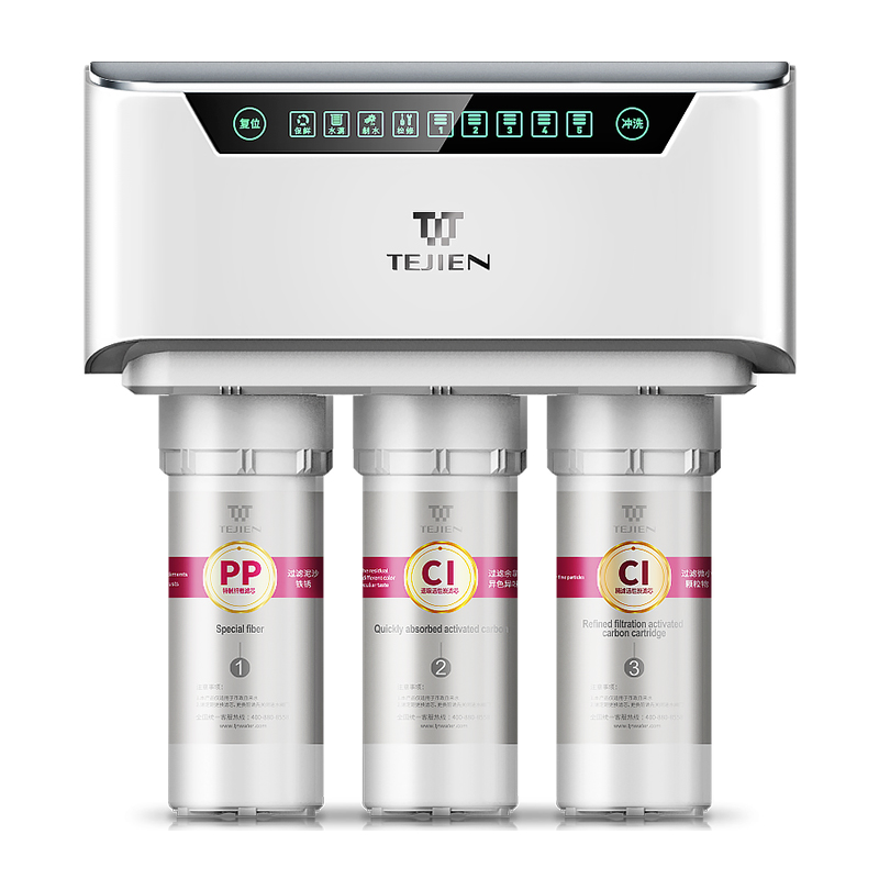 特洁恩(TEJIEN) 家用反渗透直饮双出水纯水机净水器 AF-F600