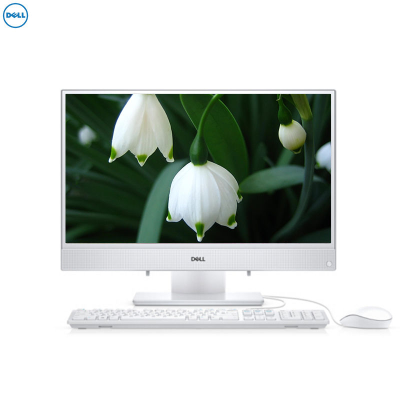 戴尔(DELL)灵越3475-1608W 23.8英寸微边框一体机电脑(双核A6-9225 4GB 1T W10H 白)