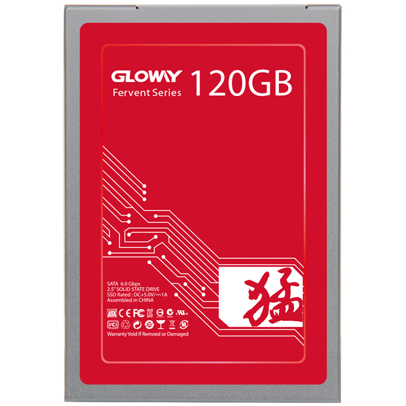 光威(Gloway) 骁将系列 120GB SATA接口 台式组装机笔记本电脑SSD固态硬盘