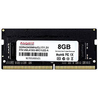 阿斯加特(Asgard) 洛极系列 DDR4 8GB 2400 笔记本内存条