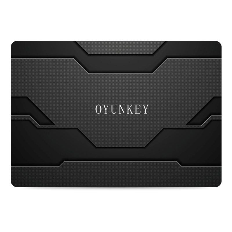 沃云客(OYUNKEY)L-512g 512GB SATA3 SSD固态硬盘