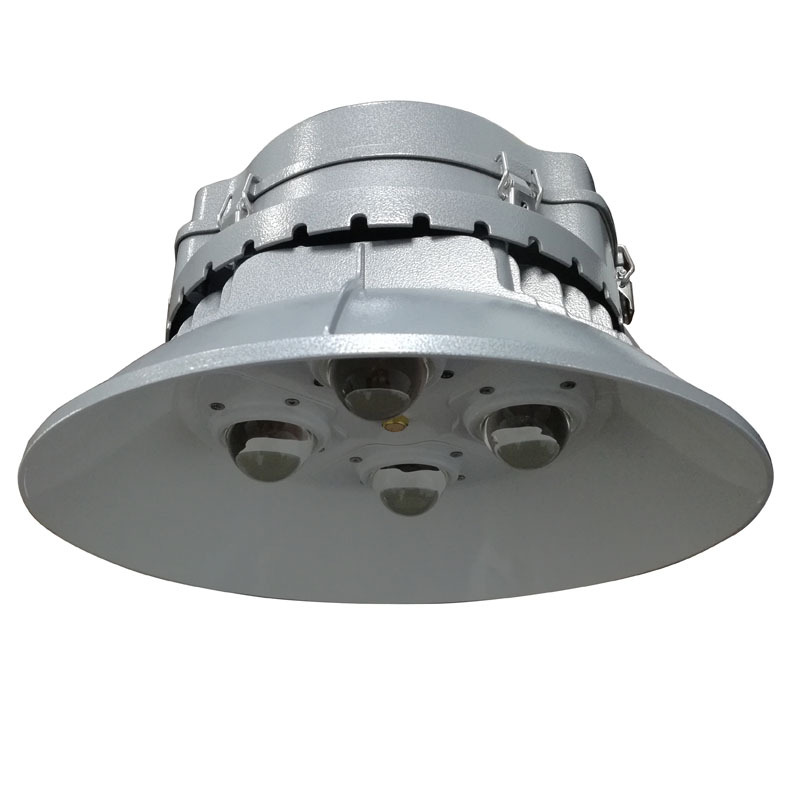 华荣防爆 120WLED 固定式防水防尘灯 RLEHB0012 (单位:个)