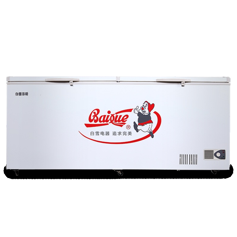 白雪(Baixue)830升BD/C-830FDS大型商用冷柜 大冰柜 茶叶柜 海鲜柜