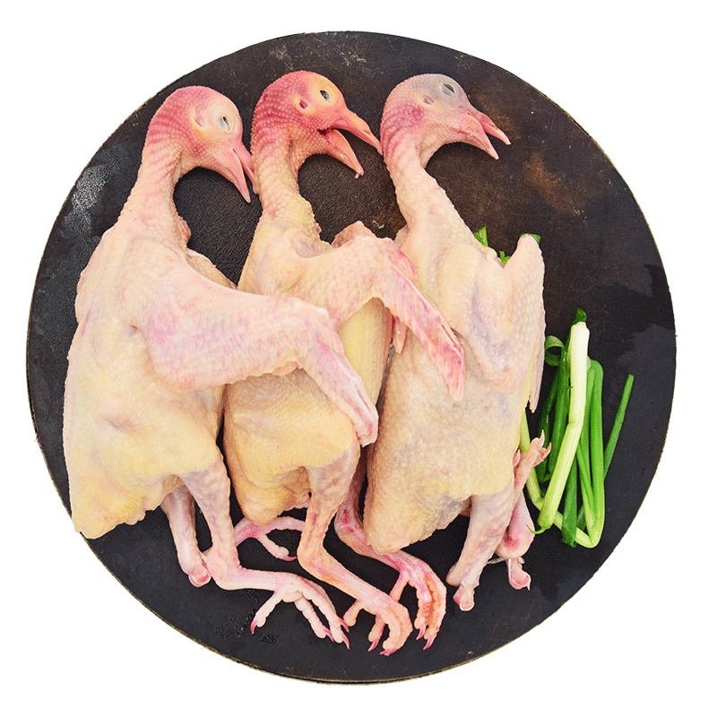 [赠炖汤料包]农谣 新鲜乳鸽 3只装 农家散养鸽子肉 杀后净重约1050g 现杀现发