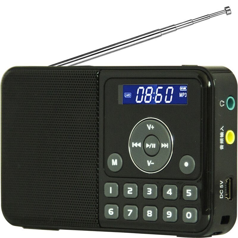 熊猫(PANDA) DS-172迷你音响插卡小音箱便携FM收音机老人袖珍mp3播放器播放机 黑色