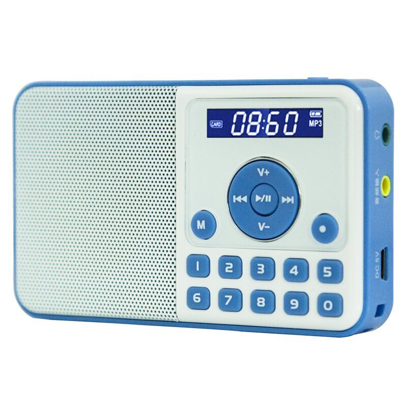 熊猫(PANDA) DS-172迷你音响插卡小音箱便携FM收音机老人袖珍mp3播放器播放机 蓝色