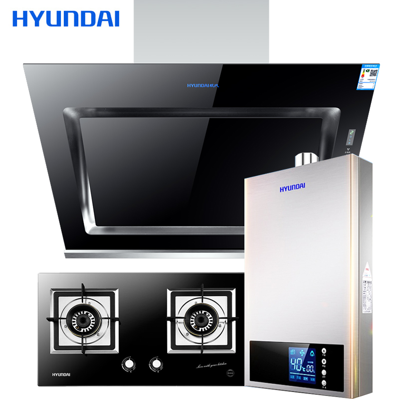韩国现代(HYUNDAI)烟灶套餐免拆洗洗抽油烟机12L燃气热水器套装触控式2980DS+721+JSQ24