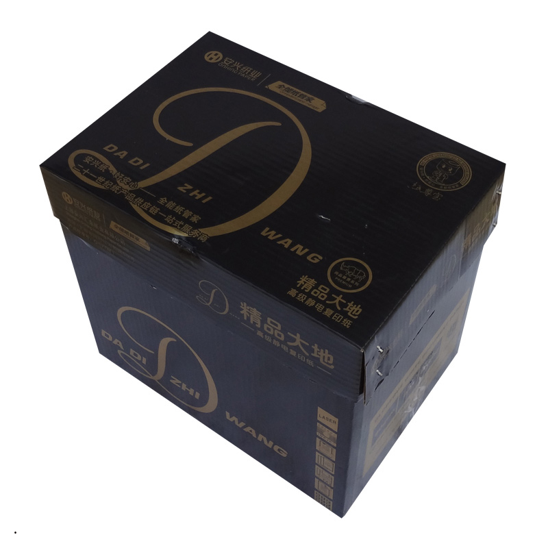 大地之王 精品大地 500张/包 5包/箱 复印纸 70克 A4 (单位:箱)