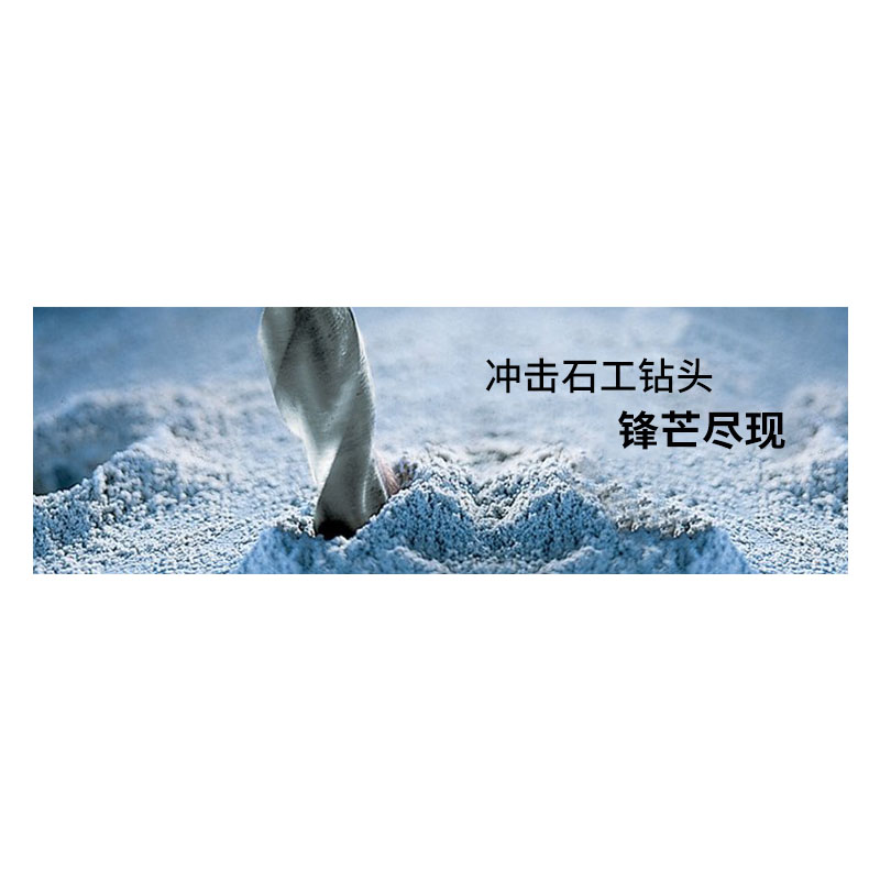 冲击钻头 10# 120×809(单位:支)