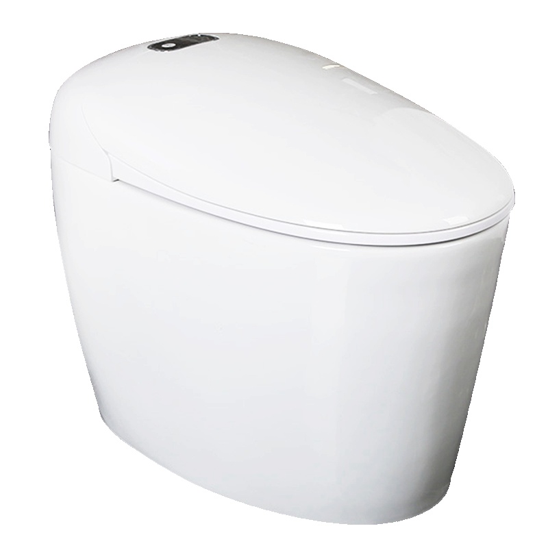 法恩莎马桶 智能马桶坐便器卫浴遥控一体多功能即热式智能马桶自动冲水马桶 FB16163-2
