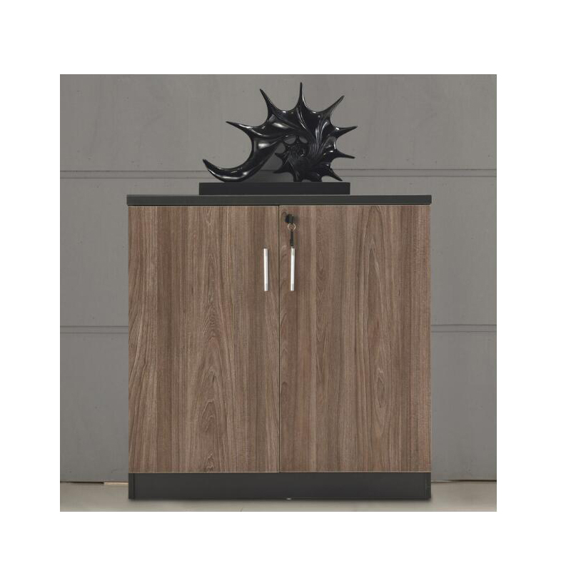 DT正鹏办公家具800*400*800文件柜资料柜 0122 （不带锁）