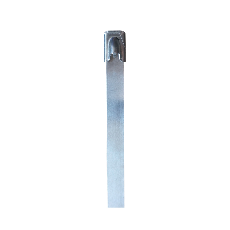 斯曼克(LCMARK ) 0.8mm*1.2m自锁固定扎带 ZSZD-1.2(单位:个)