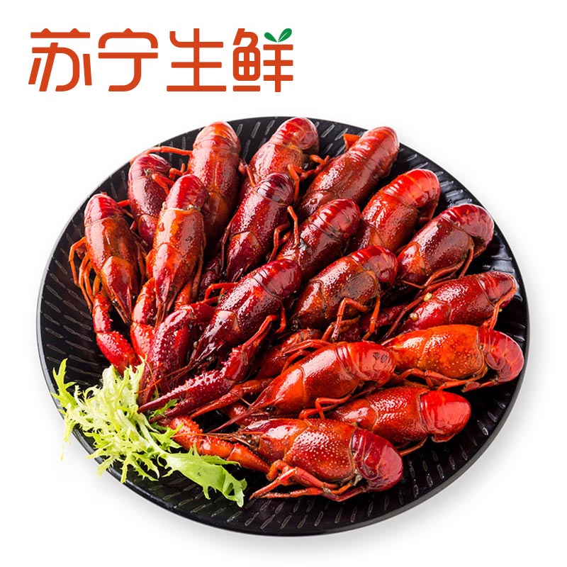 [苏宁生鲜]红小厨麻辣口味小龙虾650g(12-17只)