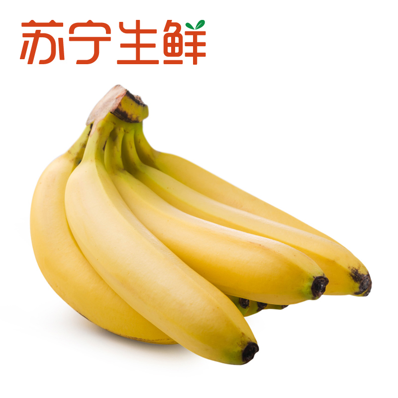 [苏宁生鲜]菲律宾香蕉1.3kg