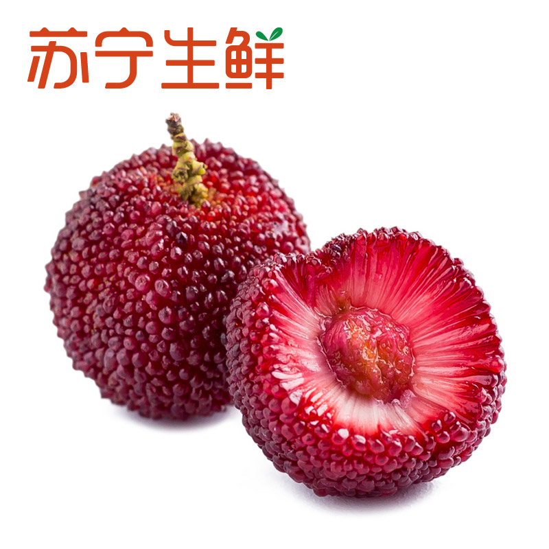 【苏宁生鲜】浙江仙居荸荠杨梅1盒(2kg/盒)