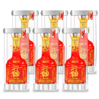 五粮液股份 一尊天下20精品 浓香型52度白酒 500ml*6 整箱白酒