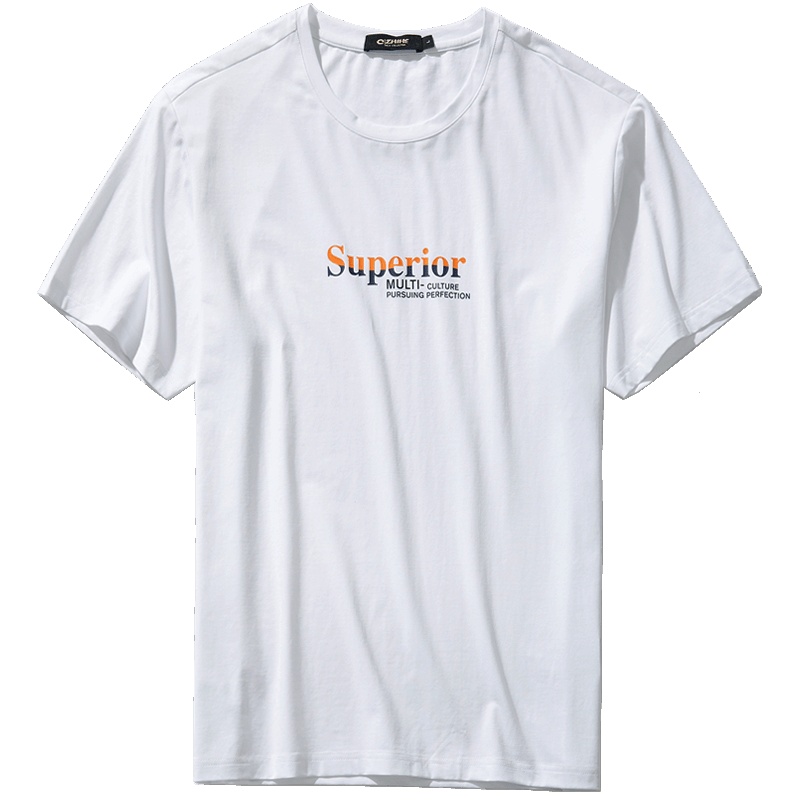 千纸鹤2019年春夏男士宽松休闲短袖T恤 圆领印花T体恤衫20103