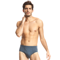 三枪内裤 3条装x2春夏新品舒肤棉中腰男士全纯棉三角裤 40449B2(2只装）