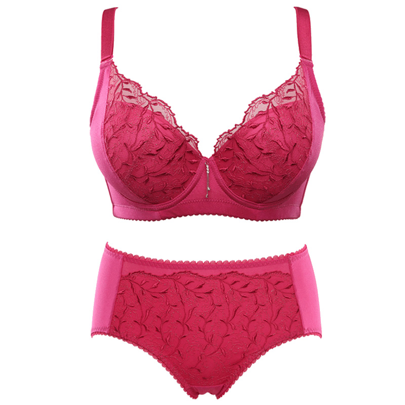 水中花新款刺绣舒适深V聚拢型女士内衣套装文胸+内裤网纱