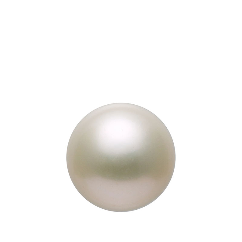 apm MONACO 珍珠镶嵌纯银耳钉 AE8707PLSILVER