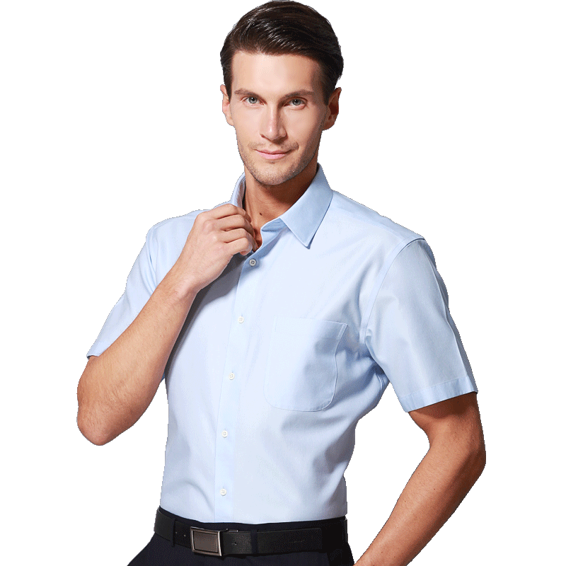 美尔雅（MAILYARD）短袖衬衫男 纯棉免烫商务正装男士衬衣 男式夏新款短衬 207
