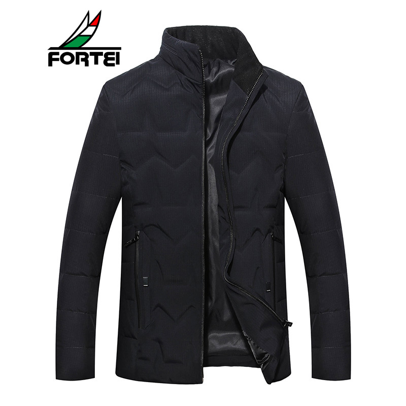 FORTEI富铤羽绒服男士时尚商务休闲立领修身外套男