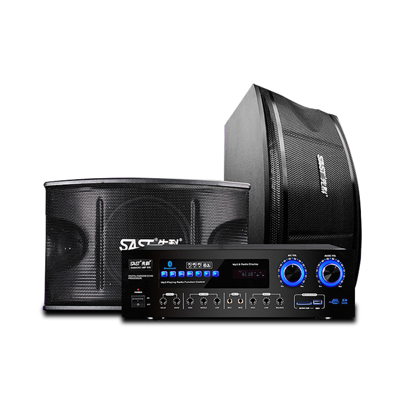 SAST/先科 V8S 家庭ktv音响套装卡拉OK家用音响10寸音箱点歌D20功放